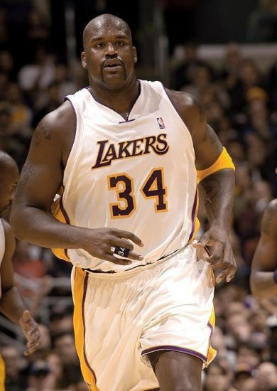 龙屡见不鲜 龙屡见不鲜